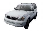 BAW Luba S100 2008 года
